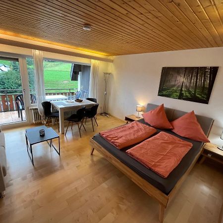 Haus Am Sonnenberg, Todtnauberg, Ferienwohnung 204, Direkt Am Skilift-Skipiste, Naehe Feldberg Bagian luar foto