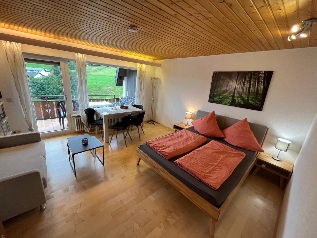 Haus Am Sonnenberg, Todtnauberg, Ferienwohnung 204, Direkt Am Skilift-Skipiste, Naehe Feldberg Bagian luar foto