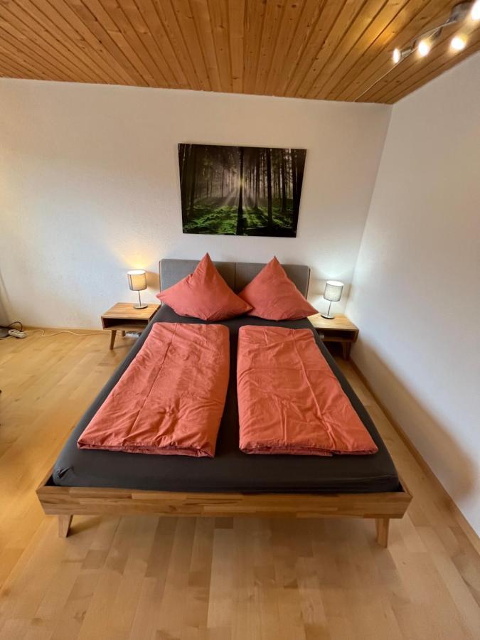 Haus Am Sonnenberg, Todtnauberg, Ferienwohnung 204, Direkt Am Skilift-Skipiste, Naehe Feldberg Bagian luar foto